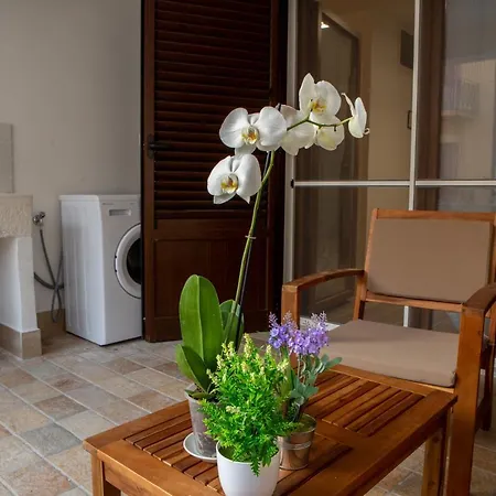 Vernaci Loft *